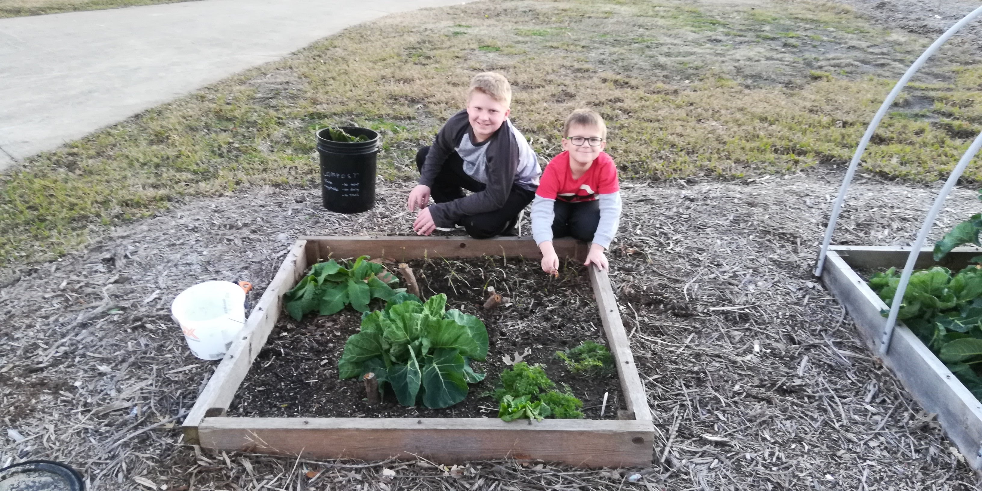 Onion Slips Planted 1/7/2019 GALLImore family homeSTEAD