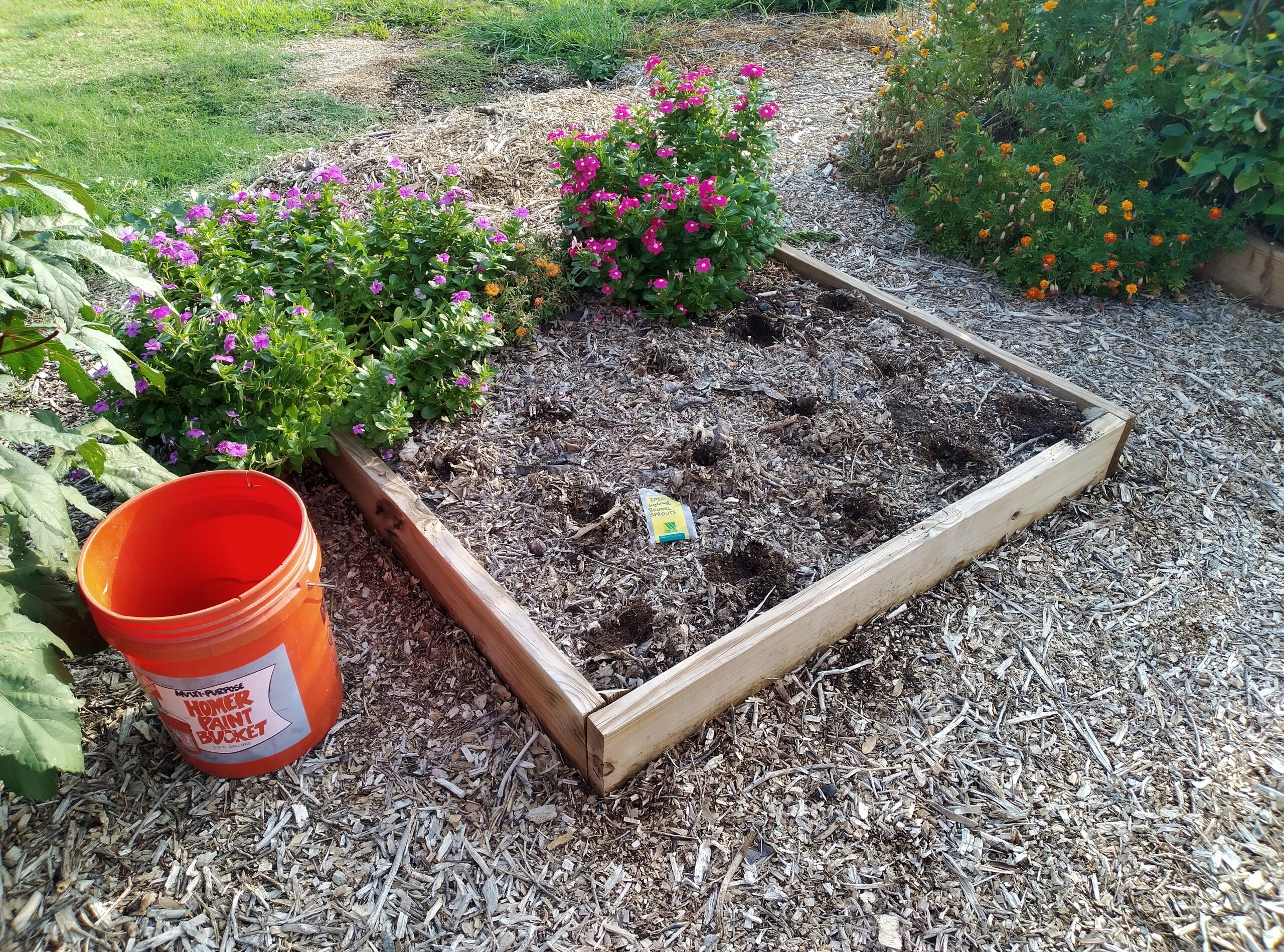 GALLImore family homeSTEAD | Gardening, Permaculture, Aquaponics and ...