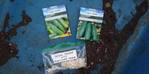 UCONN squash, spacemaker cucumber, and marketmore 76 cucumber seed