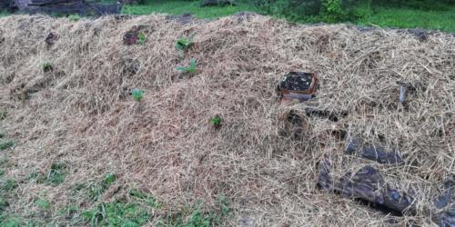 covered bed with straw 